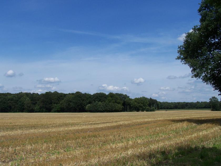 Herrliche Landschaften - hier Acker mit Wald