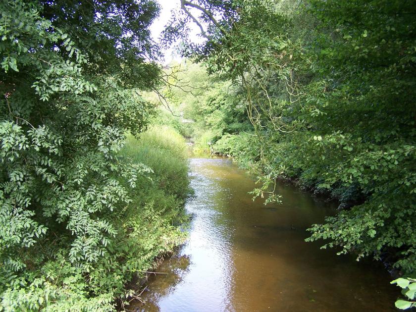 Die idyllische Schlinge