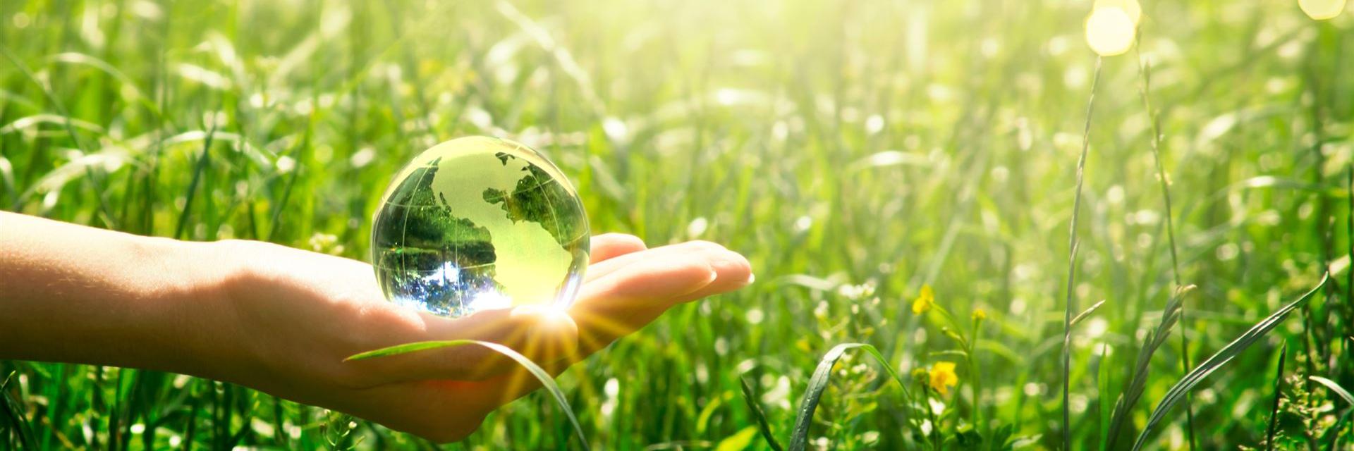 Bild bzw. Energielabel zeigt Glaskugel vor grüner Wiese